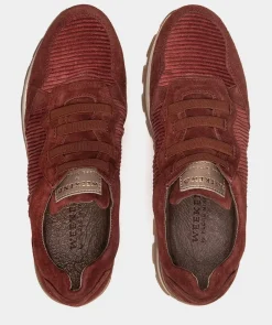 Chaussure Pedro Miralles Baskets En Cuir Bordeaux Velour Rust