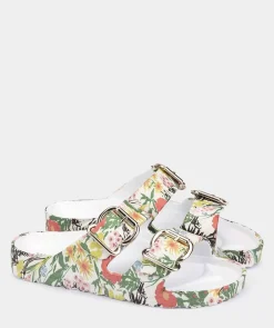 Chaussure Pedro Miralles Sandales Plates Avec Motif Floral, Ornee De Boucles Bio Flores